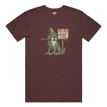 You Shall Not Pass performance t in Cardinal Triblend