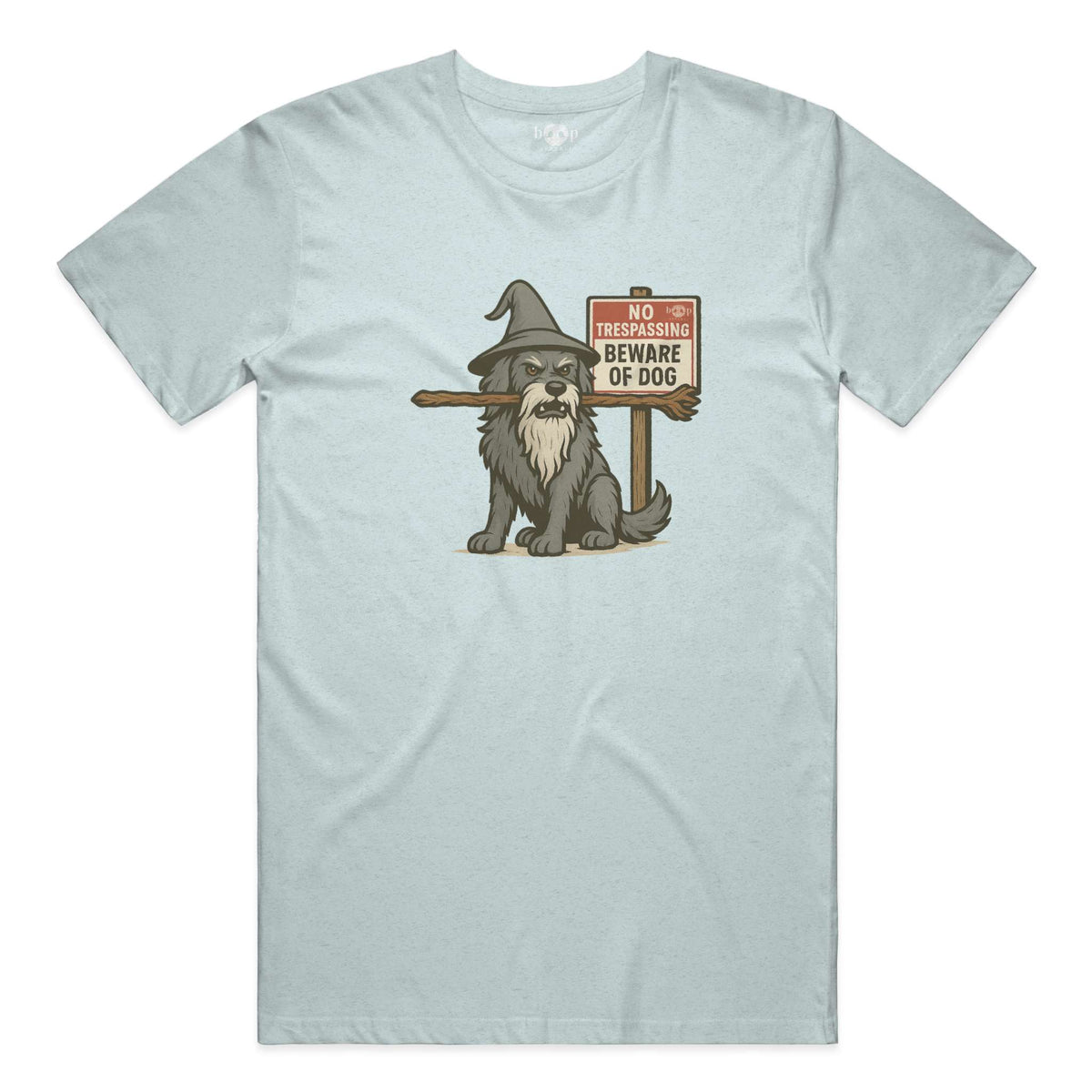 You Shall Not Pass performance t in Ice Blue Triblend