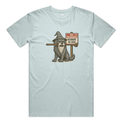 You Shall Not Pass performance t in Ice Blue Triblend