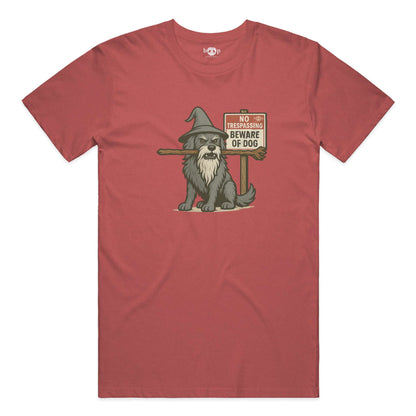 You Shall Not Pass performance t in Red Triblend