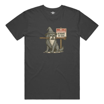 You Shall Not Pass performance t in solid dark grey triblend